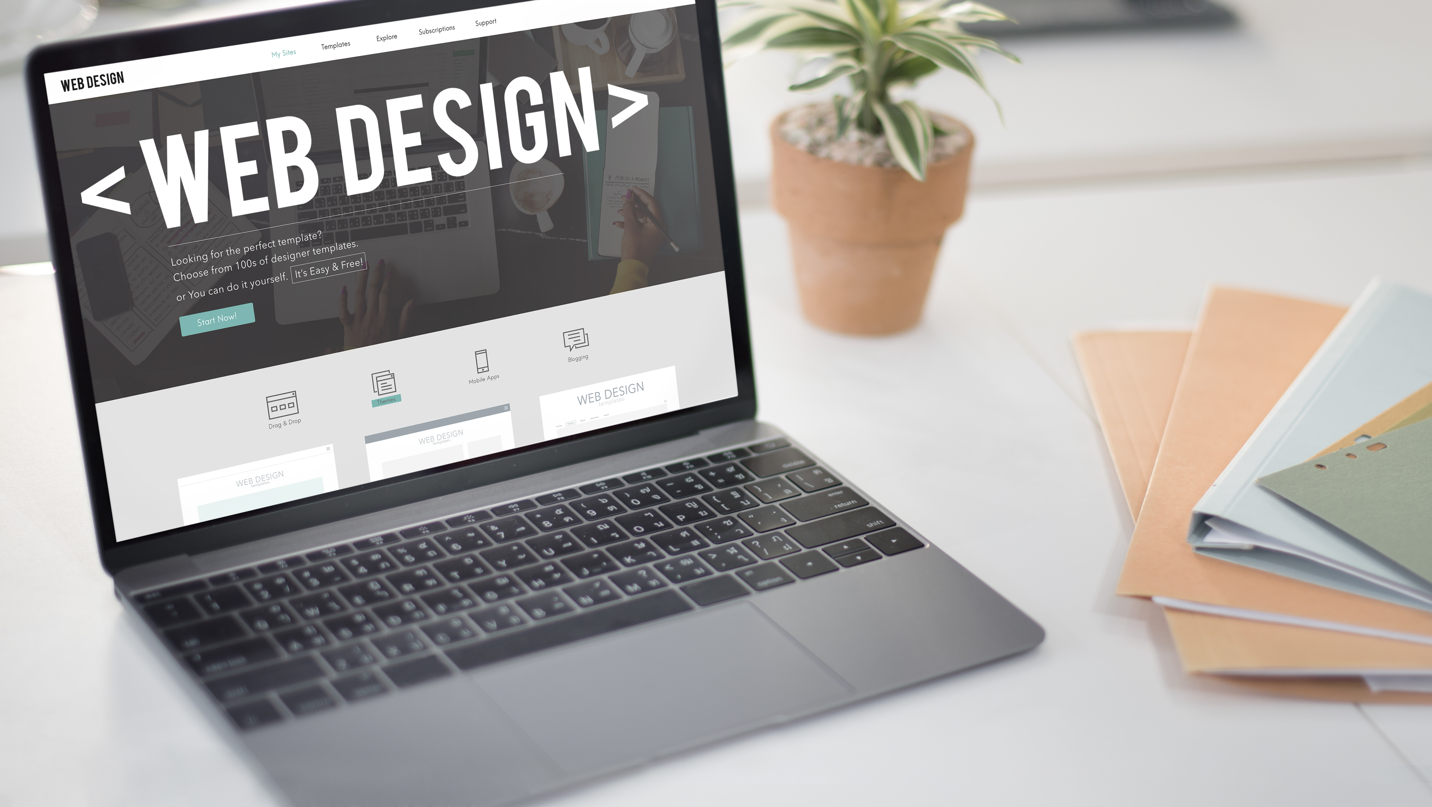 Web Development